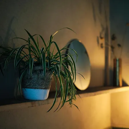 ゲストハウス Les De Petit Bomal 4*