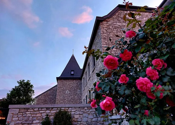 ゲストハウス Les De Petit Bomal 4*